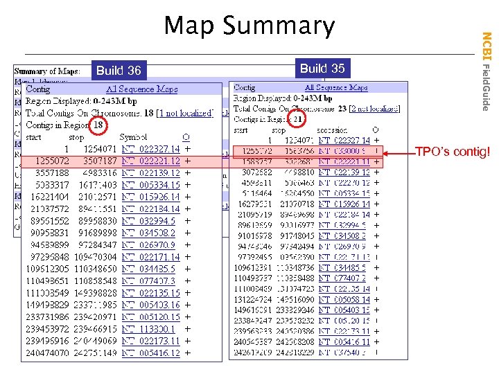 Build 36 Build 35 NCBI Field. Guide Map Summary TPO’s contig! 