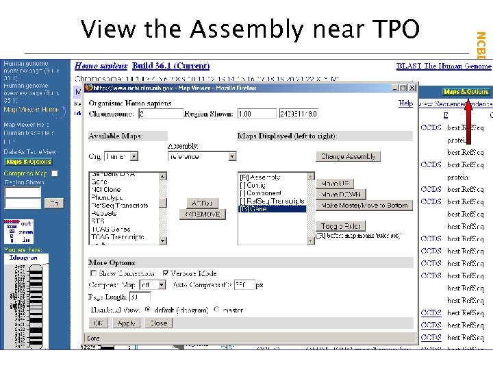 NCBI Field. Guide View the Assembly near TPO 