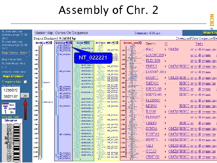 NT_022221 1255072 3507187 NCBI Field. Guide Assembly of Chr. 2 
