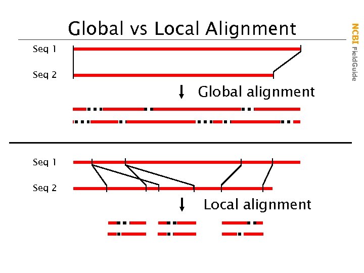 Seq 2 Global alignment Seq 1 Seq 2 Local alignment NCBI Field. Guide Seq