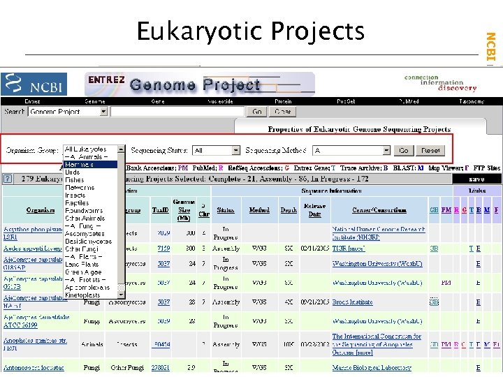 NCBI Field. Guide Eukaryotic Projects 