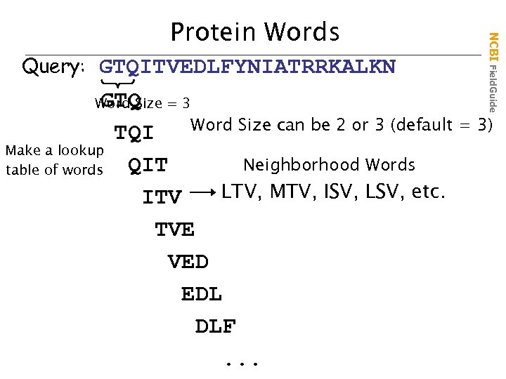 Query: GTQITVEDLFYNIATRRKALKN NCBI Field. Guide Protein Words GTQ Word Size can be 2 or