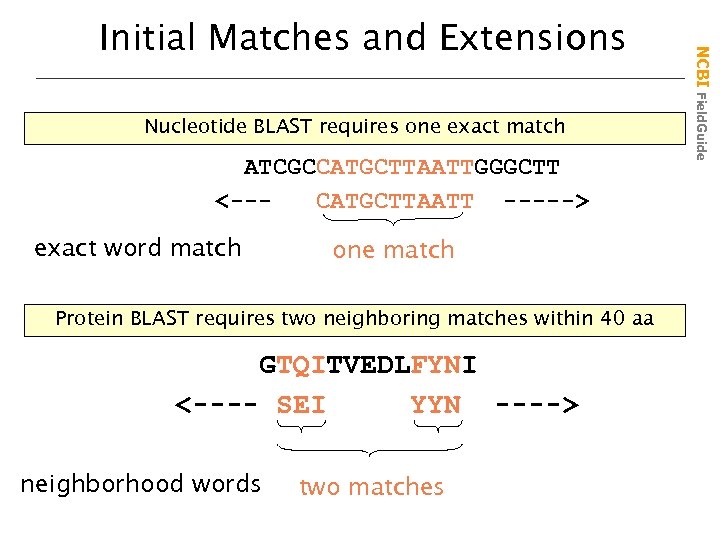 Nucleotide BLAST requires one exact match ATCGCCATGCTTAATTGGGCTT <--CATGCTTAATT -----> exact word match one match