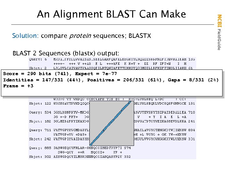 Solution: compare protein sequences; BLASTX BLAST 2 Sequences (blastx) output: NCBI Field. Guide An