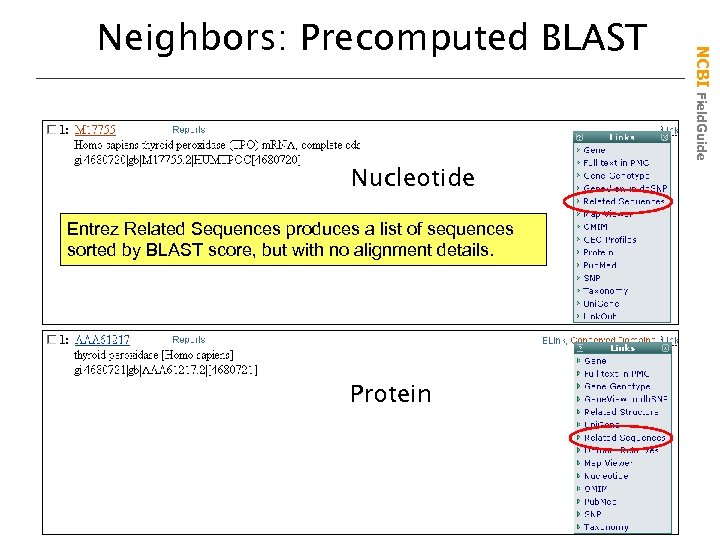 Nucleotide Entrez Related Sequences produces a list of sequences sorted by BLAST score, but