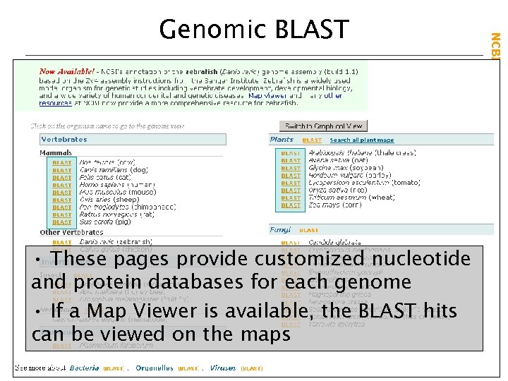 • These pages provide customized nucleotide and protein databases for each genome •