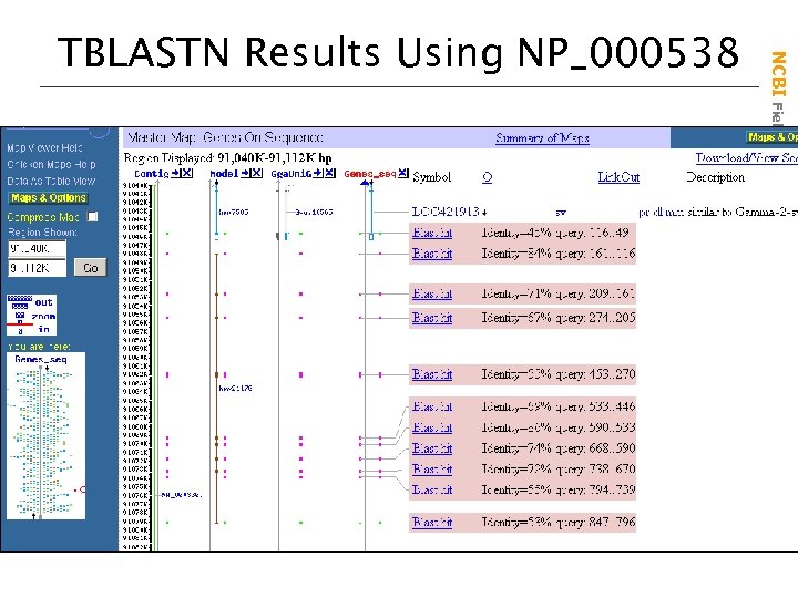 NCBI Field. Guide TBLASTN Results Using NP_000538 