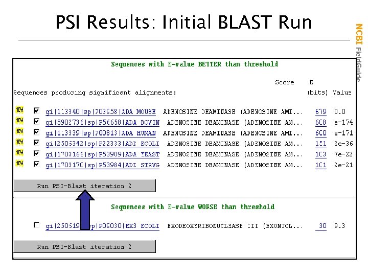 NCBI Field. Guide PSI Results: Initial BLAST Run 