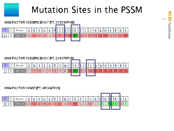 Mutation Sites in the PSSM NCBI Field. Guide Cn 3 D 