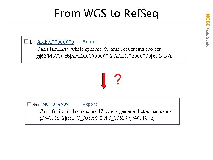 ? NCBI Field. Guide From WGS to Ref. Seq 