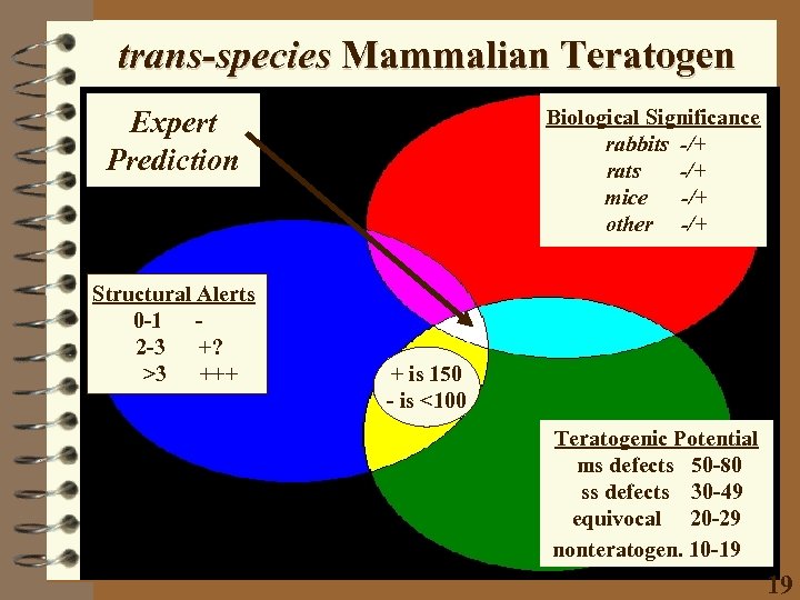 trans-species Mammalian Teratogen Expert Prediction Structural Alerts 0 -1 2 -3 +? >3 +++