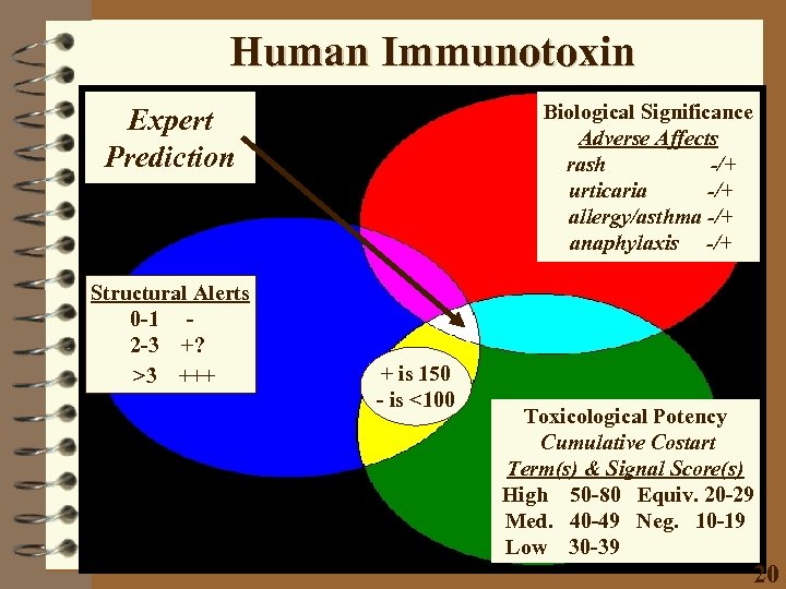 Human Immunotoxin Biological Significance Adverse Affects rash -/+ urticaria -/+ allergy/asthma -/+ anaphylaxis -/+