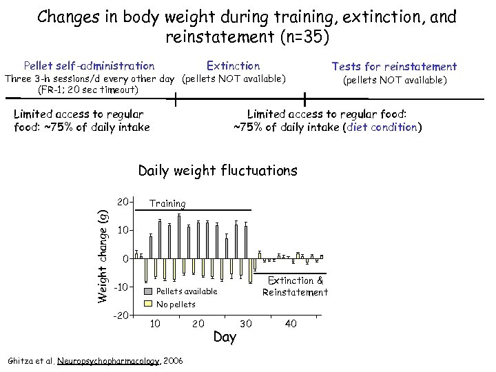 Changes in body weight during training, extinction, and reinstatement (n=35) Pellet self-administration Extinction Three