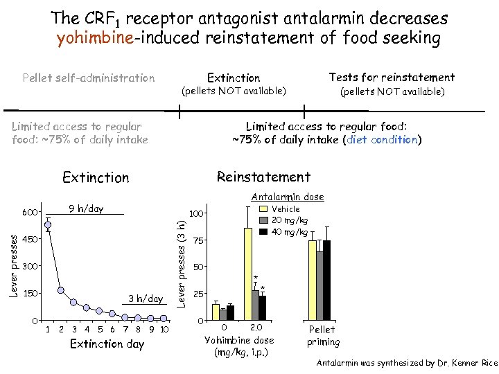 The CRF 1 receptor antagonist antalarmin decreases yohimbine-induced reinstatement of food seeking Pellet self-administration