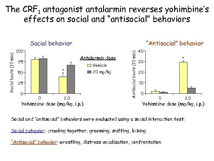 The CRF 1 antagonist antalarmin reverses yohimbine’s effects on social and “antisocial” behaviors “Antisocial”