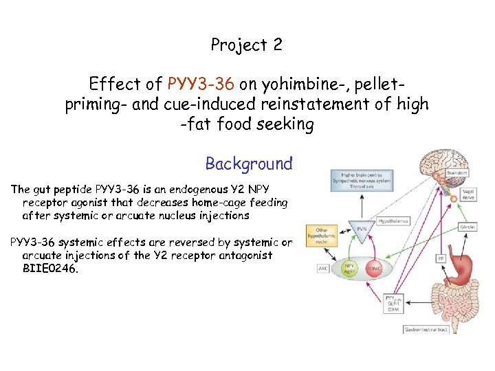 Project 2 Effect of PYY 3 -36 on yohimbine-, pelletpriming- and cue-induced reinstatement of