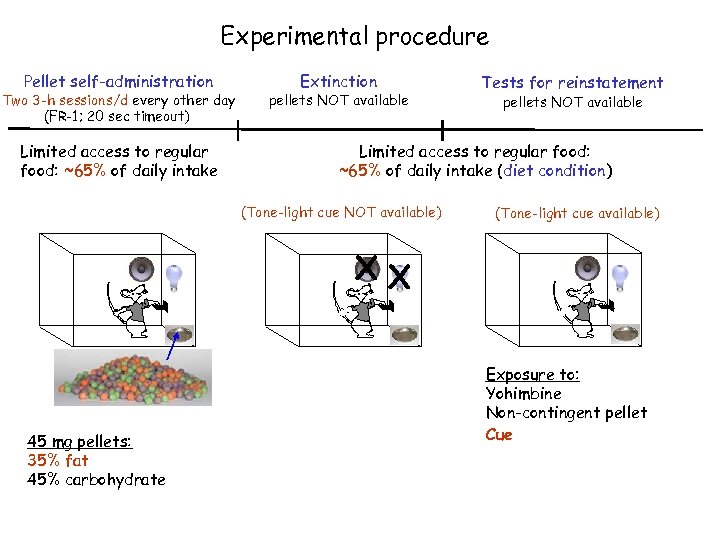 Experimental procedure Pellet self-administration Two 3 -h sessions/d every other day (FR-1; 20 sec