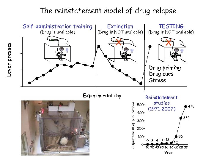 The reinstatement model of drug relapse Self-administration training (Drug is NOT available) X TESTING