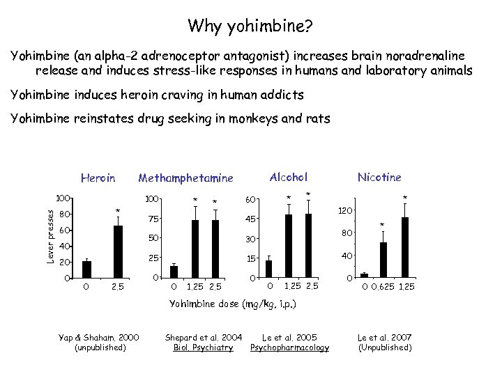 Why yohimbine? Yohimbine (an alpha-2 adrenoceptor antagonist) increases brain noradrenaline release and induces stress-like