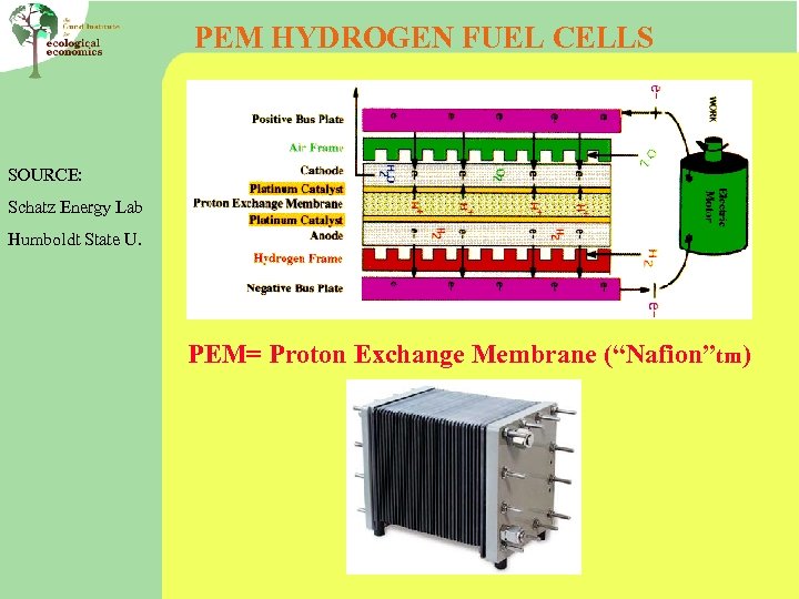 PEM HYDROGEN FUEL CELLS SOURCE: Schatz Energy Lab Humboldt State U. PEM= Proton Exchange