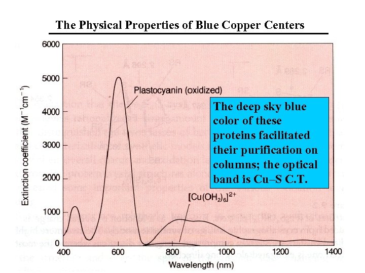 The Physical Properties of Blue Copper Centers The deep sky blue color of these