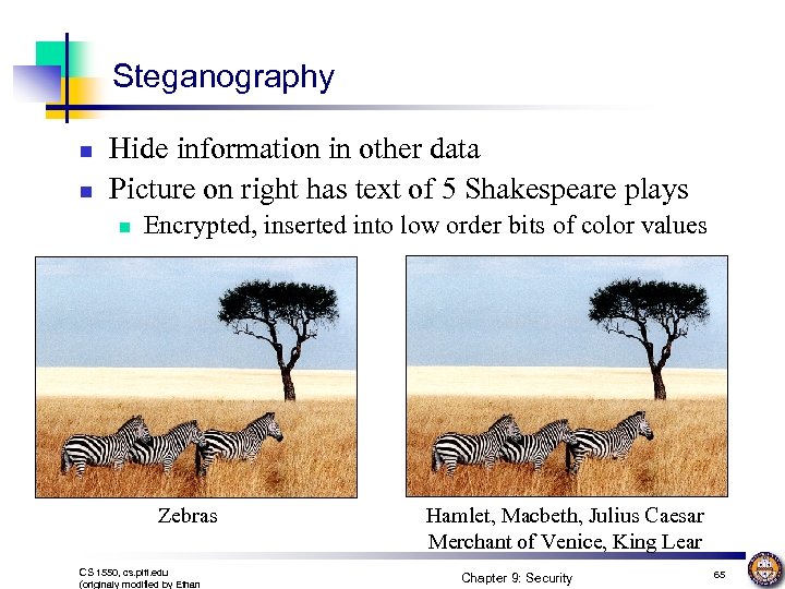 Steganography n n Hide information in other data Picture on right has text of