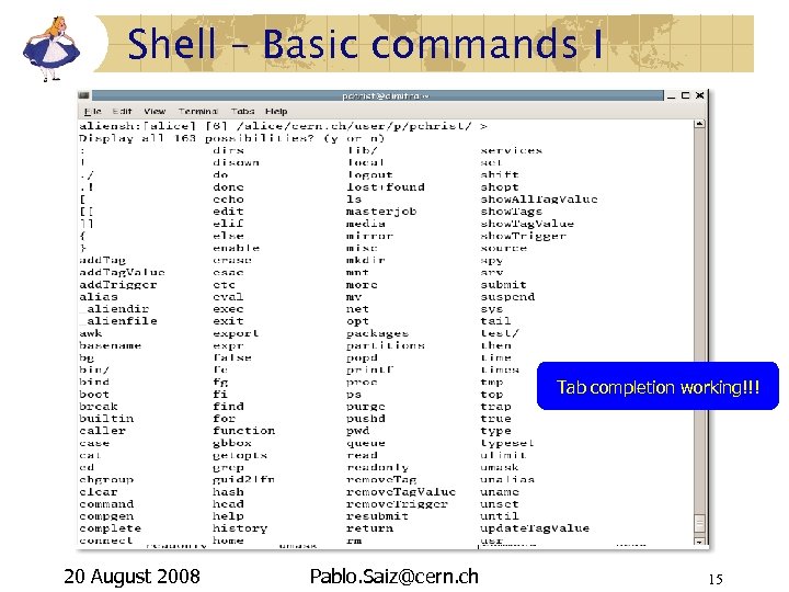 Shell – Basic commands I Tab completion working!!! 20 August 2008 Pablo. Saiz@cern. ch
