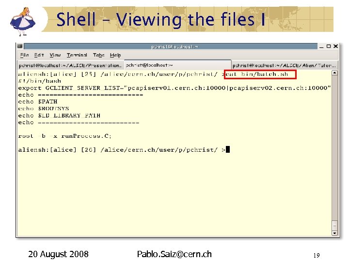 Shell – Viewing the files I 20 August 2008 Pablo. Saiz@cern. ch 19 