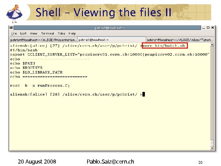 Shell – Viewing the files II 20 August 2008 Pablo. Saiz@cern. ch 20 