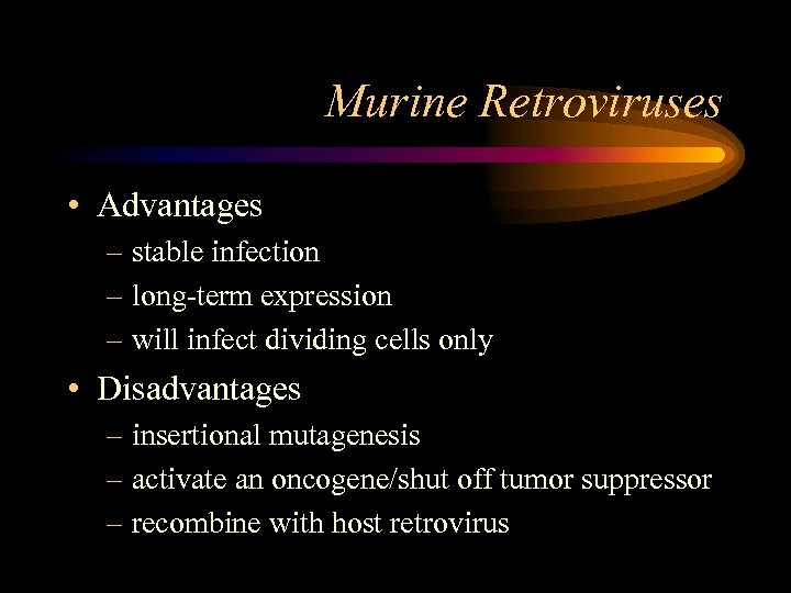 Murine Retroviruses • Advantages – stable infection – long-term expression – will infect dividing