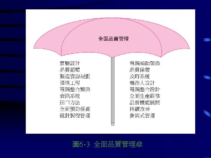 圖 6 -3 全面品質管理傘 