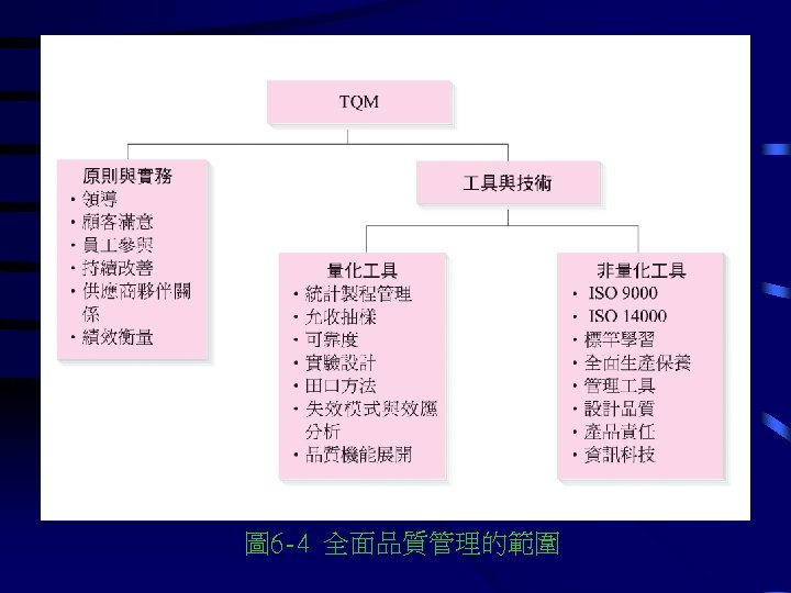 圖 6 -4 全面品質管理的範圍 