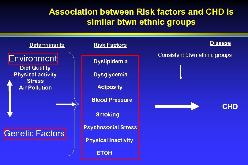 Association between Risk factors and CHD is similar btwn ethnic groups Determinants Environment Diet