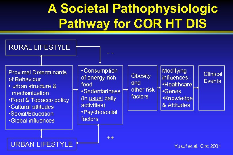 A Societal Pathophysiologic Pathway for COR HT DIS RURAL LIFESTYLE Proximal Determinants of Behaviour