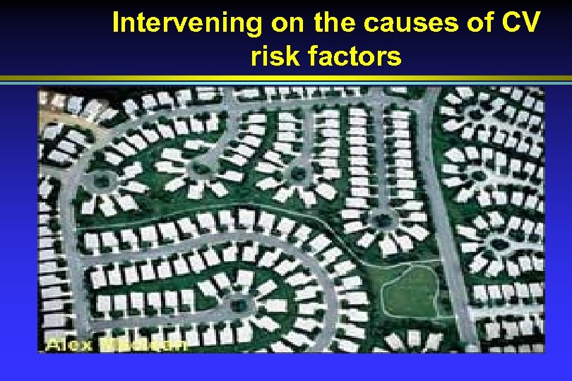 Intervening on the causes of CV risk factors 