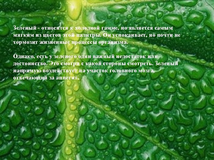 Зеленый - относится к холодной гамме, но является самым мягким из цветов этой палитры.