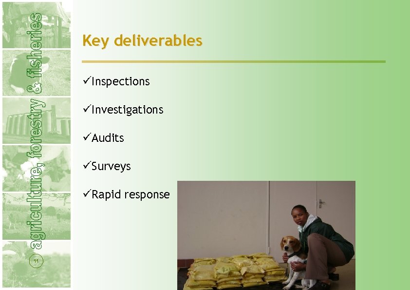 Key deliverables üInspections üInvestigations üAudits üSurveys üRapid response 11 