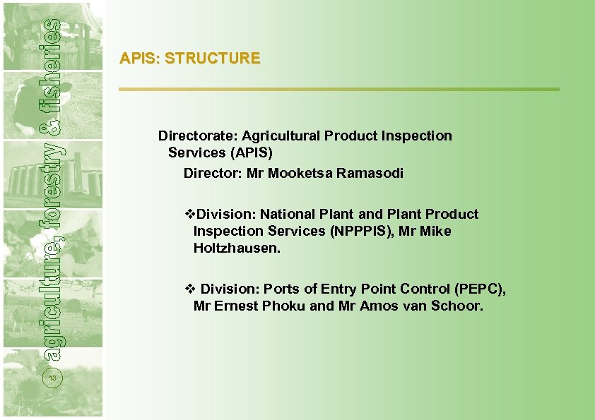 APIS: STRUCTURE Directorate: Agricultural Product Inspection Services (APIS) Director: Mr Mooketsa Ramasodi v. Division:
