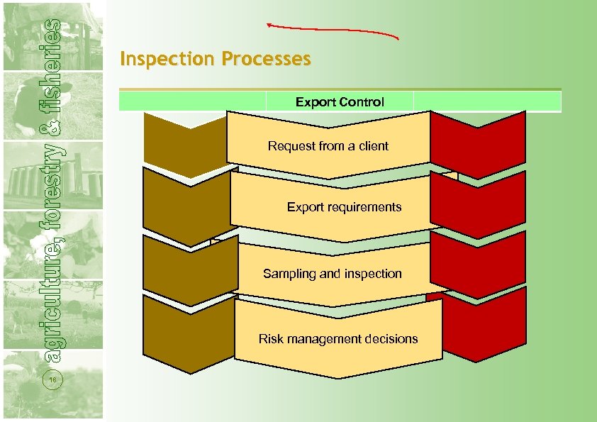 Inspection Processes Export Control Request from a client Export requirements Sampling and inspection Risk