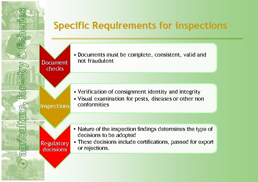 Specific Requirements for inspections Document checks • Documents must be complete, consistent, valid and