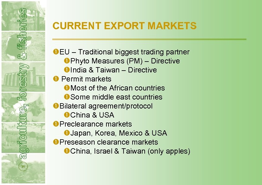 CURRENT EXPORT MARKETS EU – Traditional biggest trading partner Phyto Measures (PM) – Directive