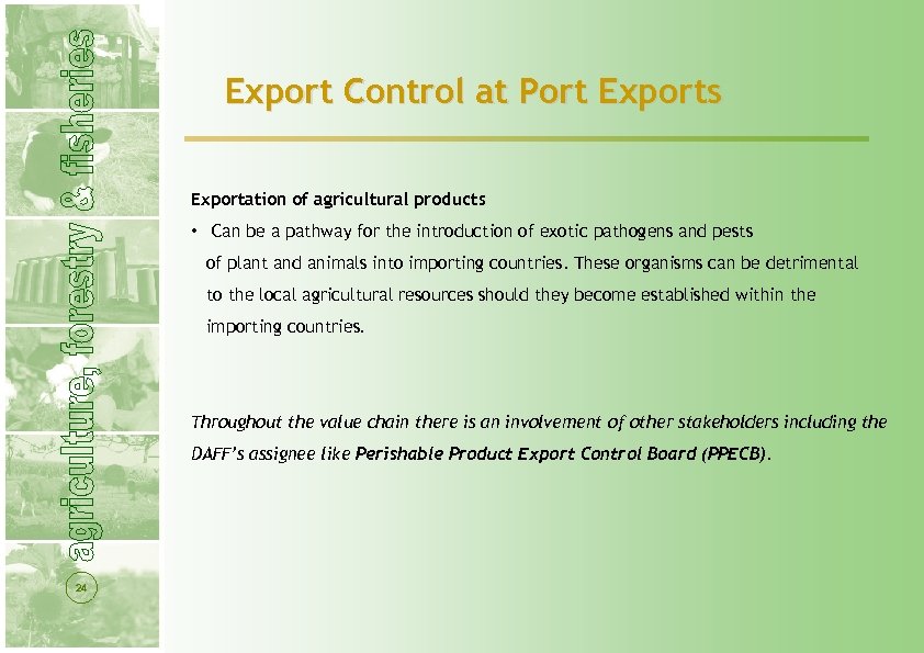 Export Control at Port Exports Exportation of agricultural products • Can be a pathway