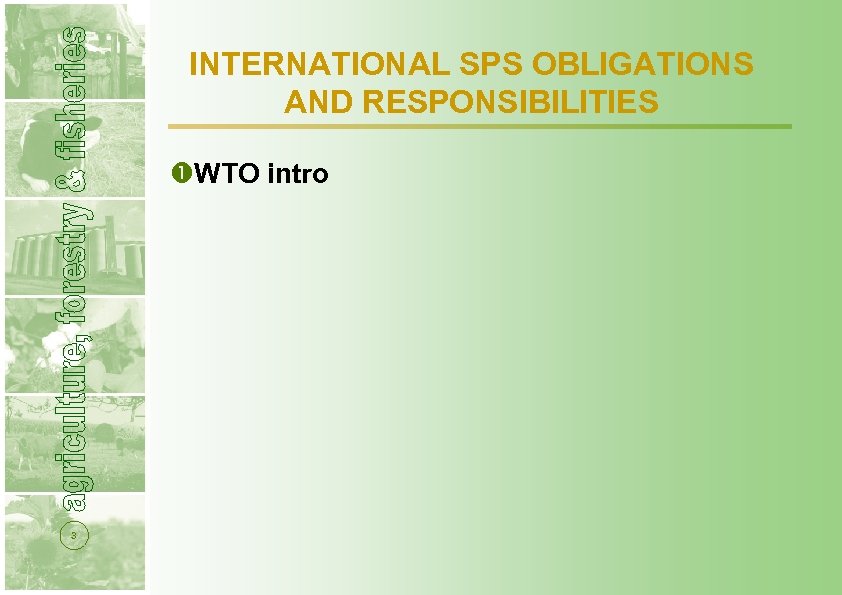 INTERNATIONAL SPS OBLIGATIONS AND RESPONSIBILITIES WTO intro 3 