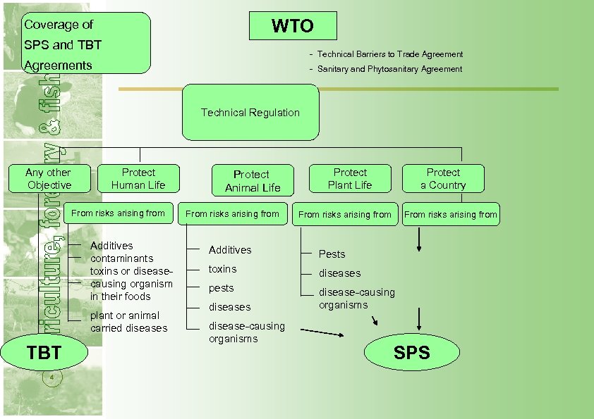 WTO Coverage of SPS and TBT - Technical Barriers to Trade Agreements - Sanitary
