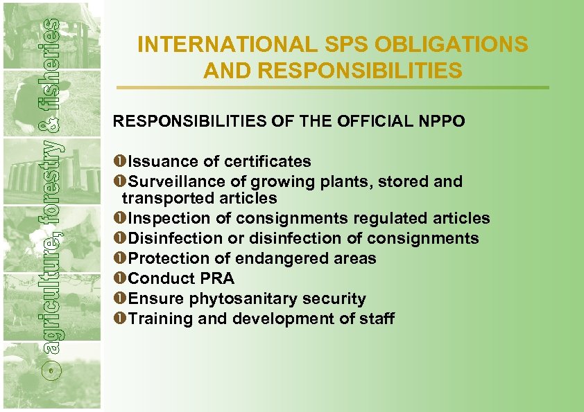 INTERNATIONAL SPS OBLIGATIONS AND RESPONSIBILITIES OF THE OFFICIAL NPPO Issuance of certificates Surveillance of
