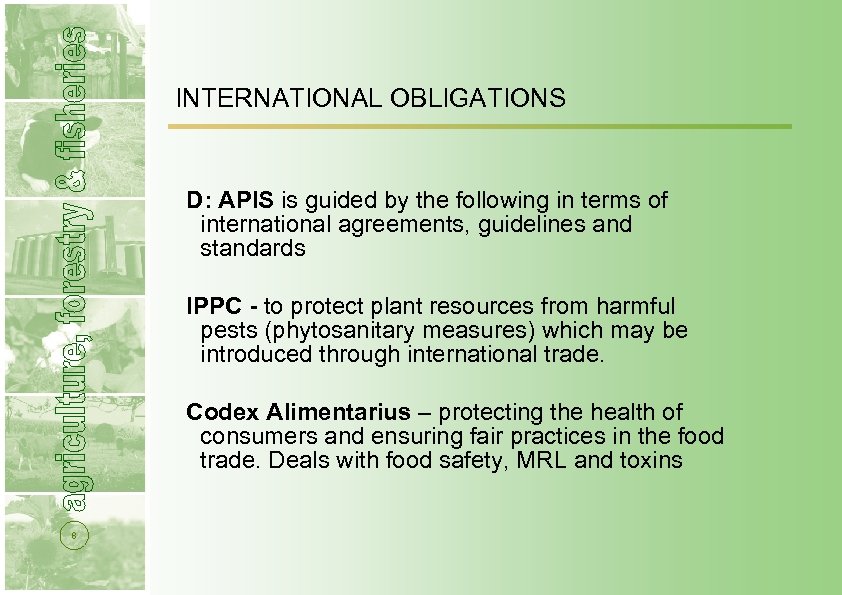 INTERNATIONAL OBLIGATIONS D: APIS is guided by the following in terms of international agreements,