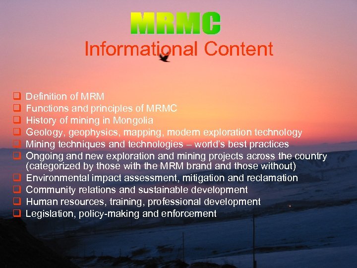 Informational Content q q q q q Definition of MRM Functions and principles of