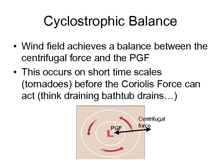 Cyclostrophic Balance • Wind field achieves a balance between the centrifugal force and the
