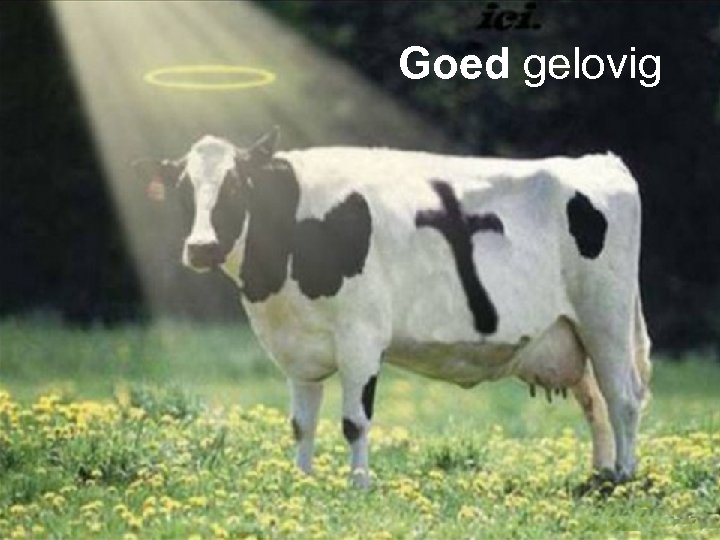 Goed gelovig 