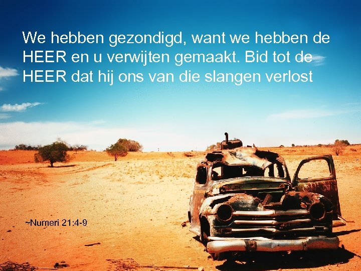 We hebben gezondigd, want we hebben de HEER en u verwijten gemaakt. Bid tot